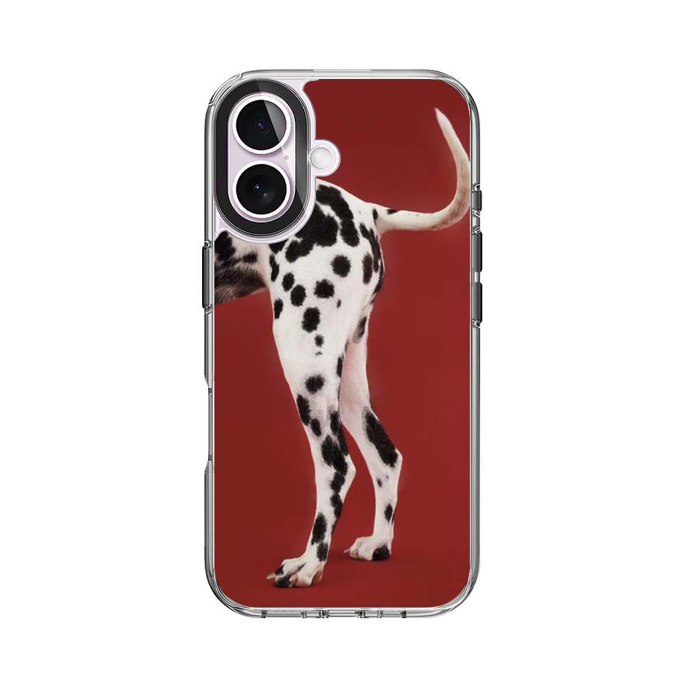 ダルメシアンの足 dalmatian-dog ダルメシアンの足 dalmatian-dog