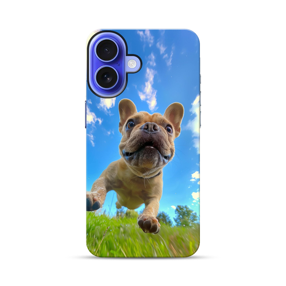 青空とフレンチブルドッグ iPhone 17オリジナル耐衝撃ケース