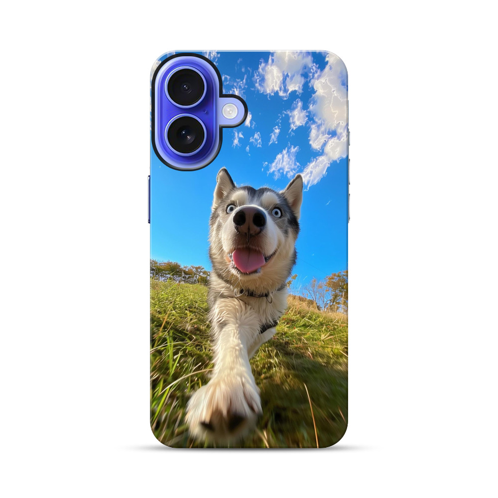 青空のハスキー犬 iPhone 17オリジナル耐衝撃ケース