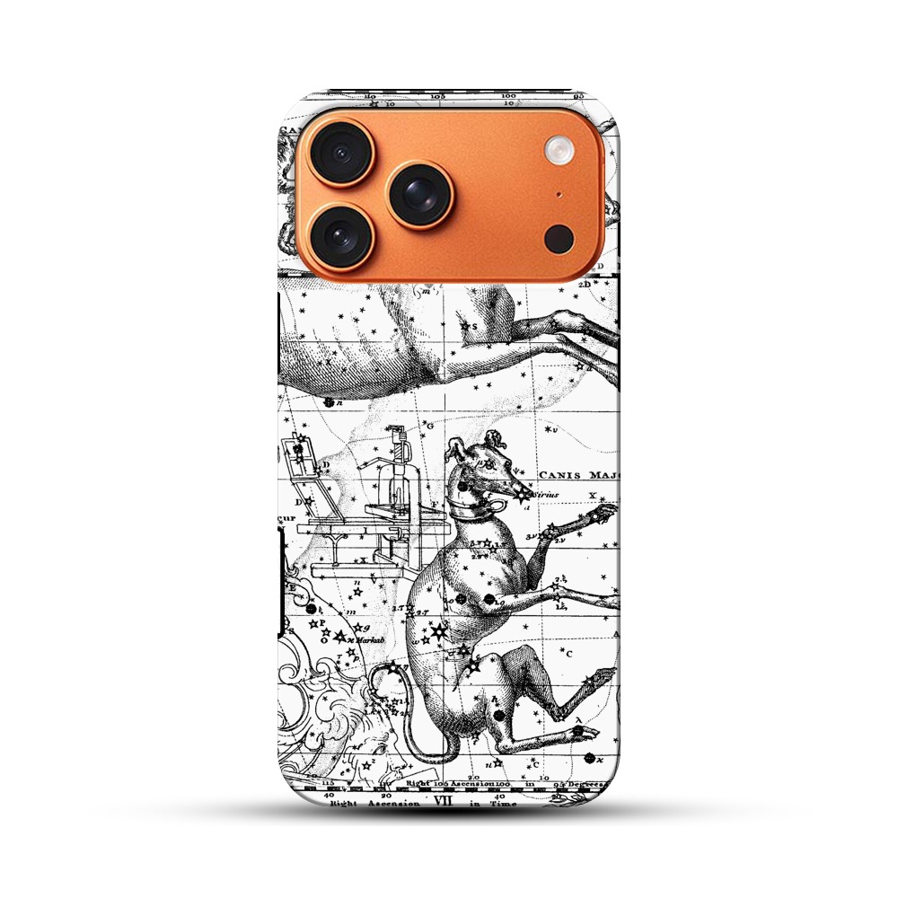 ハロウィンのかぼちゃ monoceros ハロウィンのかぼちゃ monoceros