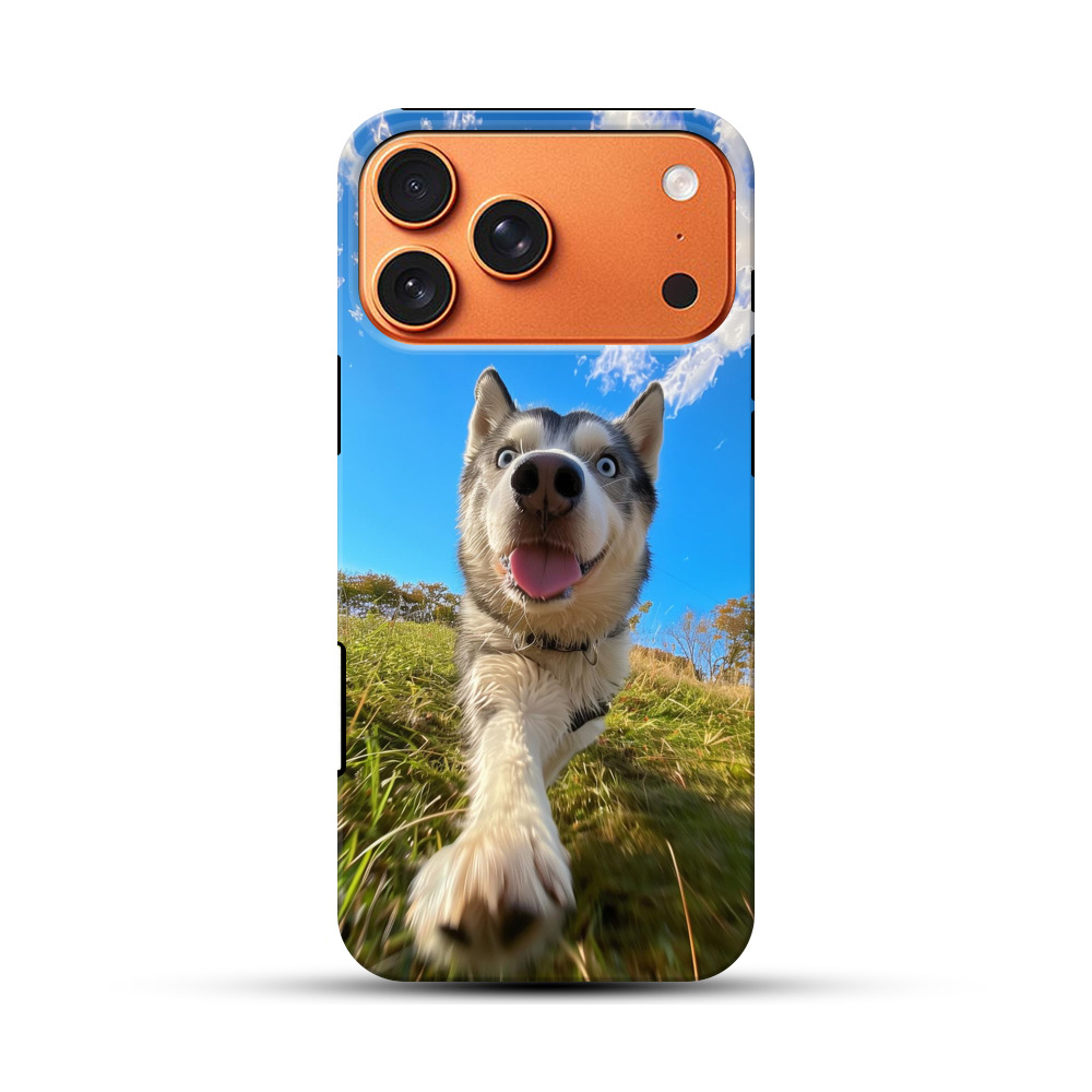 青空のハスキー犬 puppy-dog-selfie-04-2 青空のハスキー犬 puppy-dog-selfie-04-2