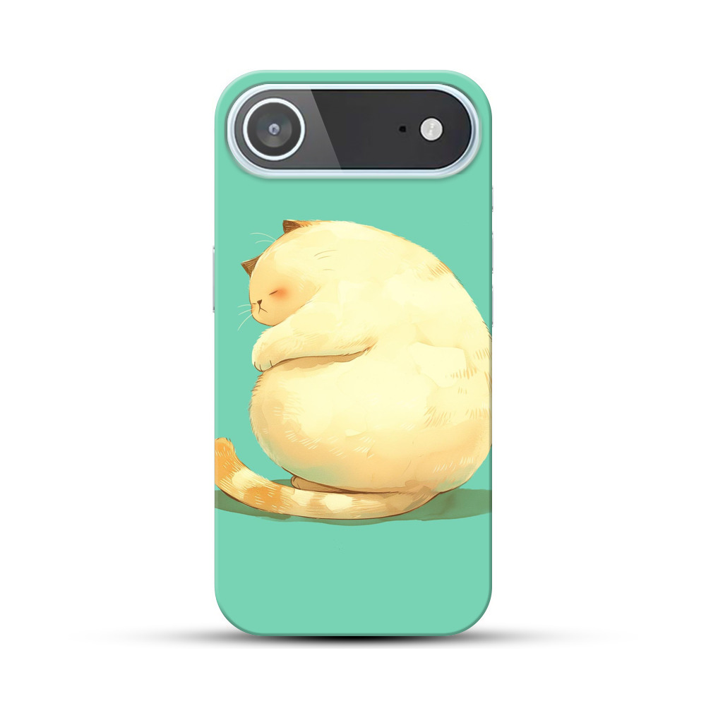ふっくら眠る可愛い猫 iPhone Airオリジナルハードケース