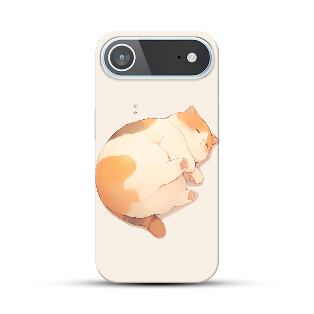 丸くなって眠る猫 iPhone Airオリジナルハードケース