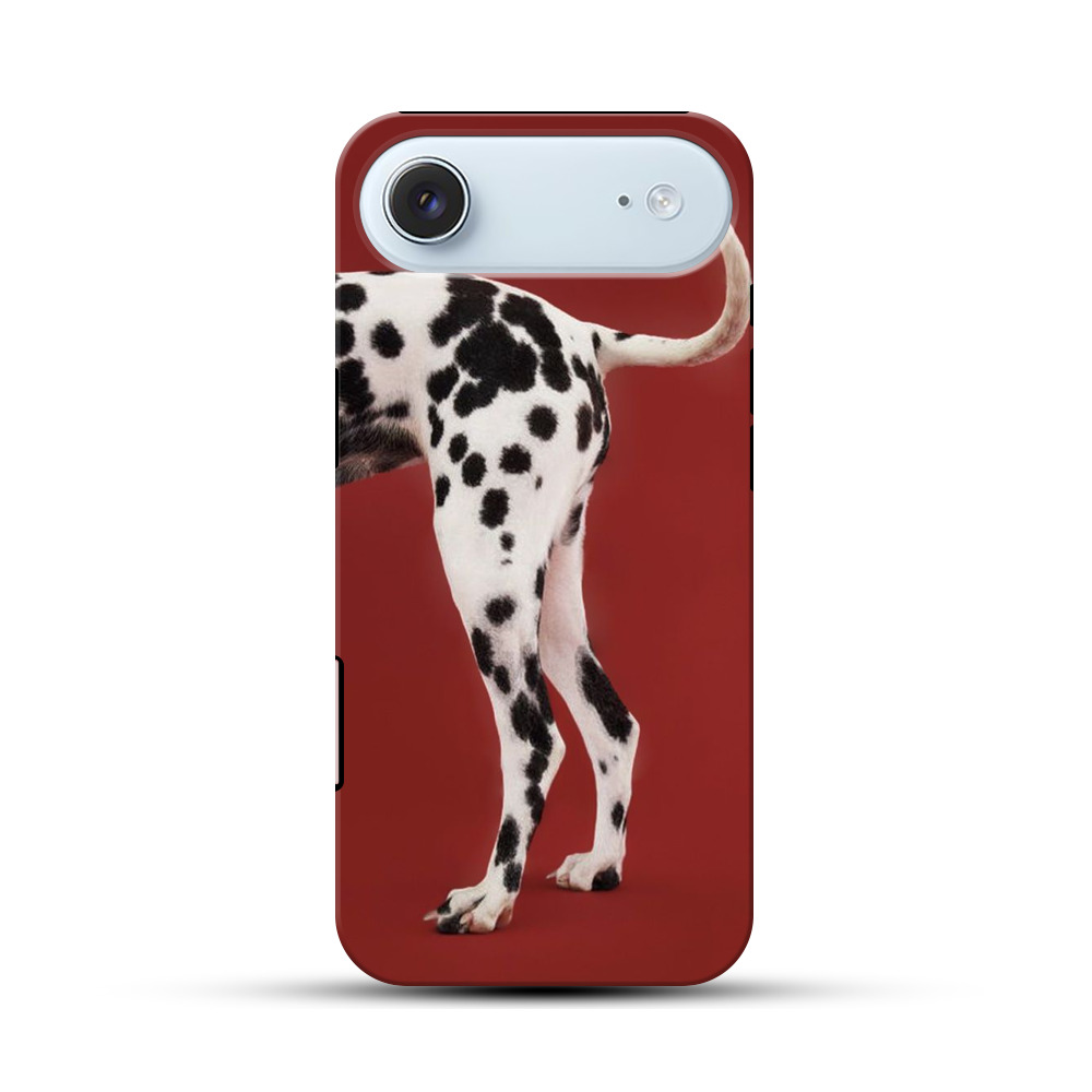 ダルメシアンの足 dalmatian-dog ダルメシアンの足 dalmatian-dog