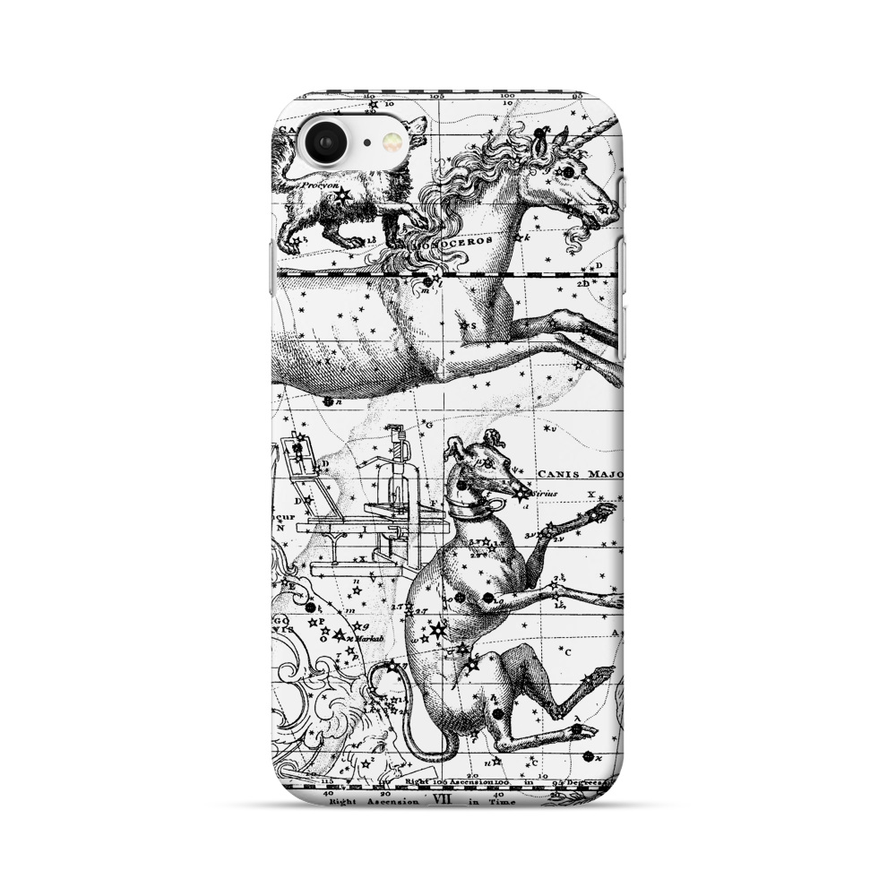 ハロウィンのかぼちゃ monoceros ハロウィンのかぼちゃ monoceros